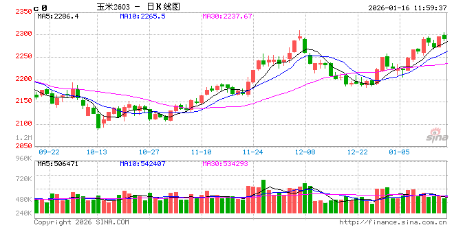 元旦后玉米维持微涨走势 基层货源流转成远期关键变量